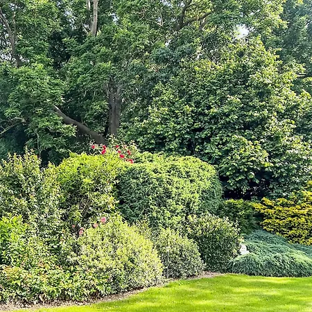 Gartenblick By Interhome * Elskop